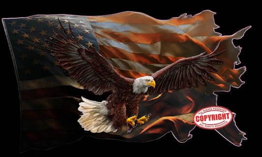 Worn American flag eagle wings decal with bald eagle design.