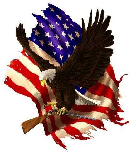 Baring Arms American Flag Eagle decal with bald eagle holding a rifle against a waving American flag background.