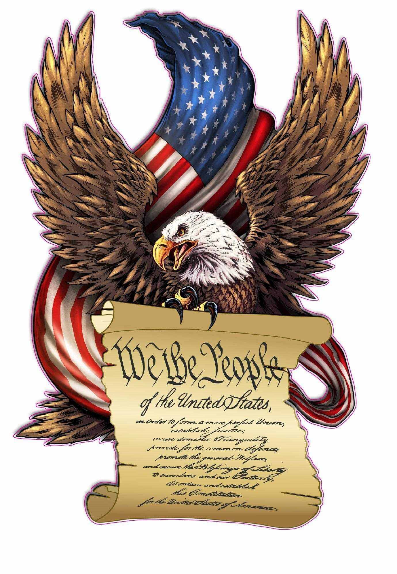 American Flag Eagle decal with "We the People" scroll and USA flag background symbolizing patriotism and freedom