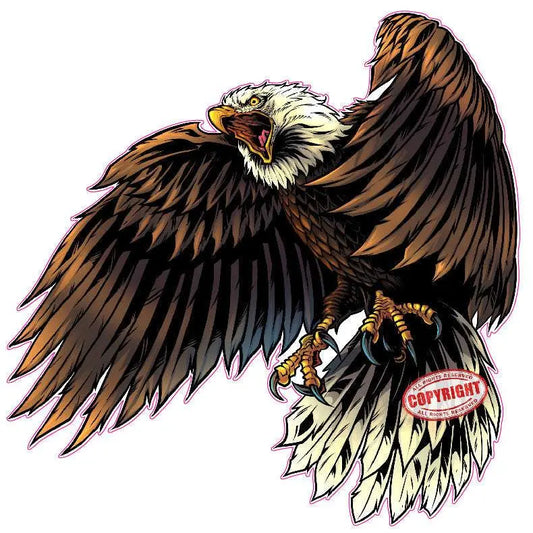 Screaming Bald Eagle Decal with open wings, high-quality outdoor material.