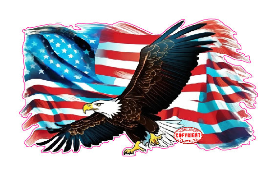 Brushed American flag Bald Eagles decal