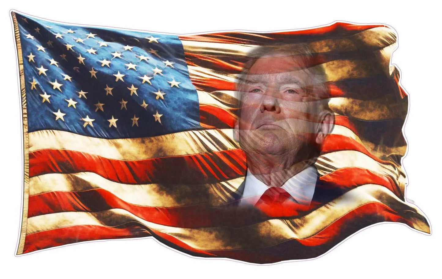Proud American flag decal with bald eagle and outdoor warranty