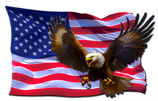 Twisted American flag eagle decal with a bald eagle overlay.