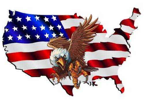 USA map shaped flag decal with flying bald eagle in front