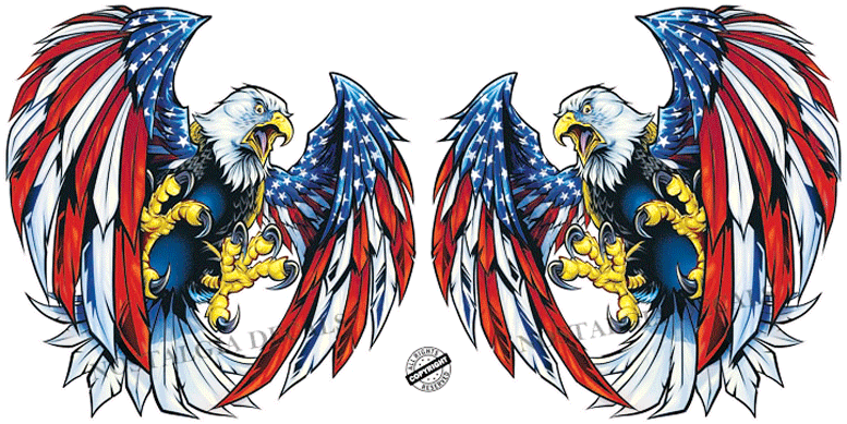 screaming-american-eagle-wings-pair-WEB-IMAGE