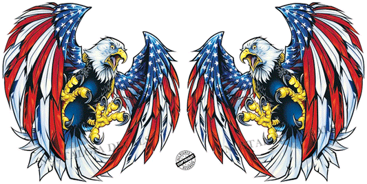 screaming-american-eagle-wings-pair-WEB-IMAGE