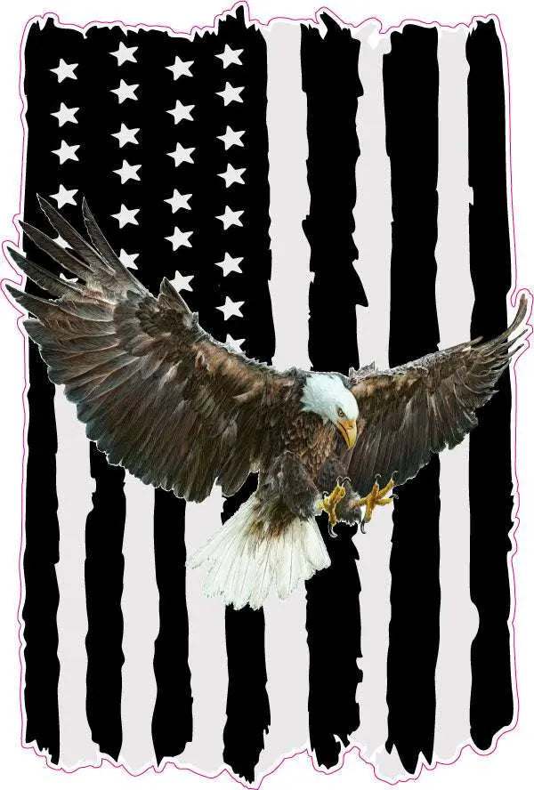 Worn black American flag decal with soaring bald eagle on right side